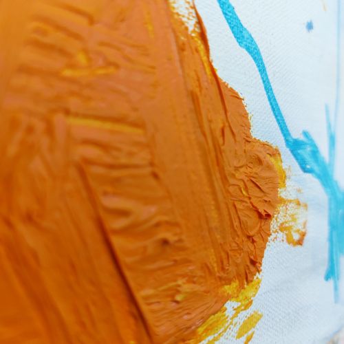 Kamel trifft Savanne  2022