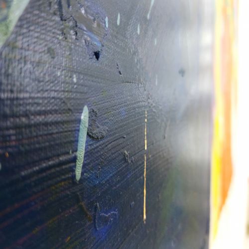 Kamel trifft Savanne  2022