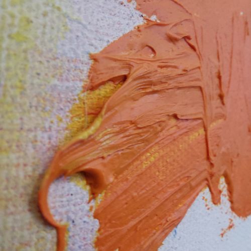 Kamel trifft Savanne  2022